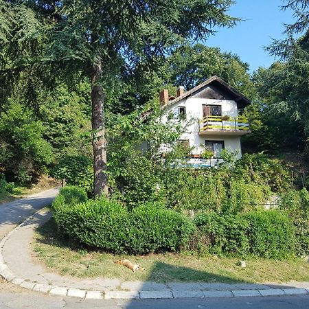Nena & Rale Rooms Donji Milanovac Exterior foto