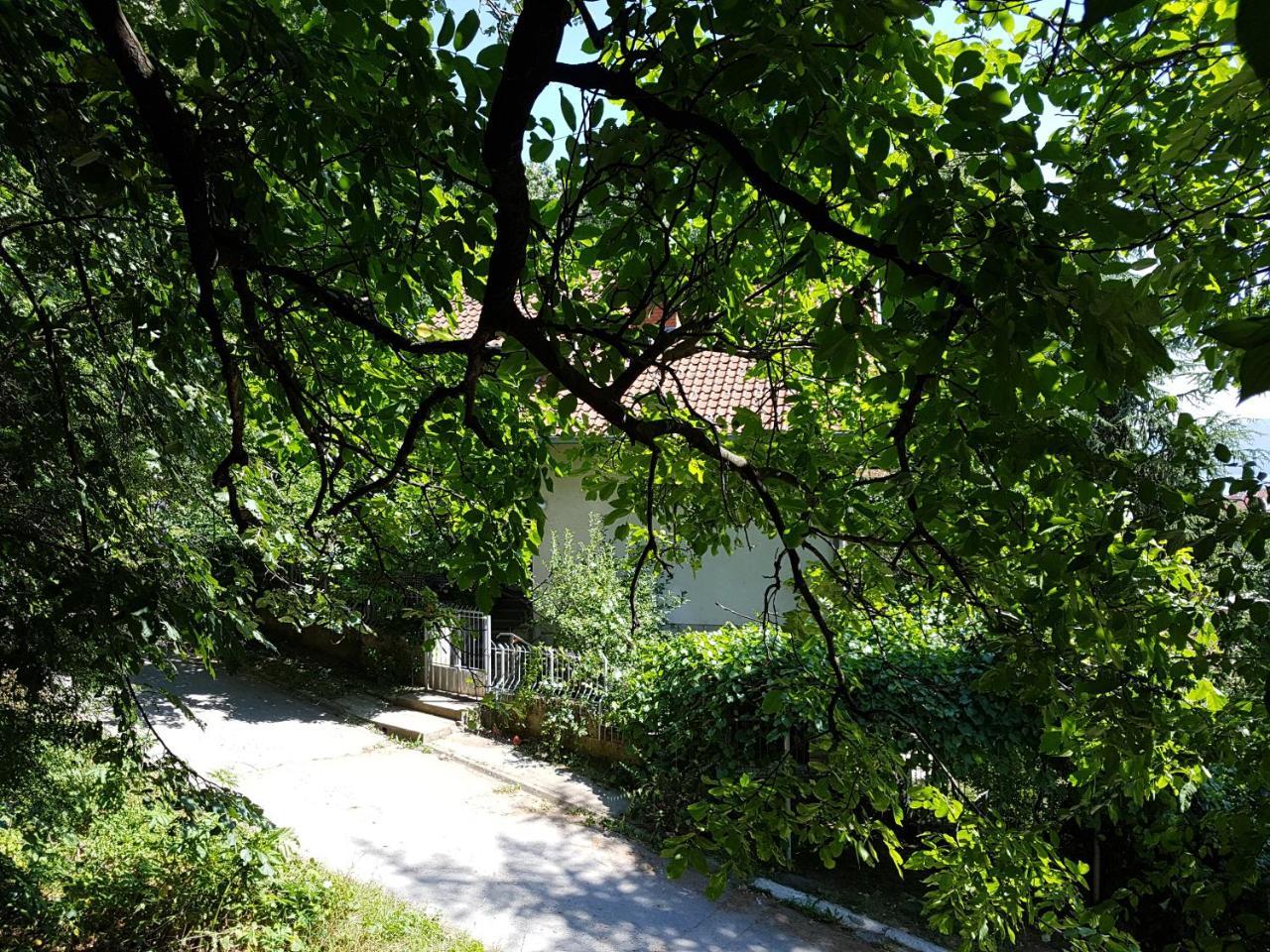 Nena & Rale Rooms Donji Milanovac Exterior foto