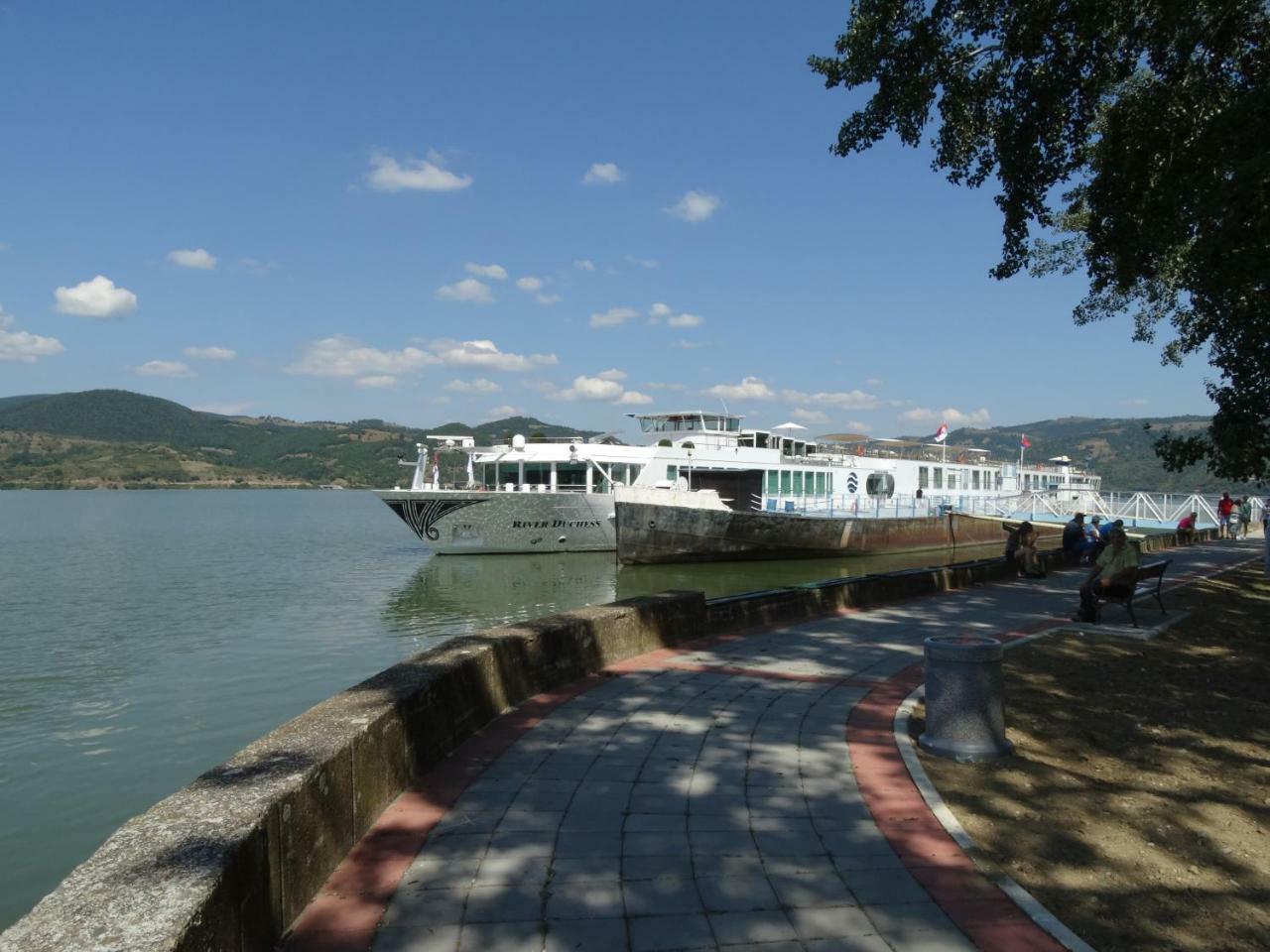 Nena & Rale Rooms Donji Milanovac Exterior foto